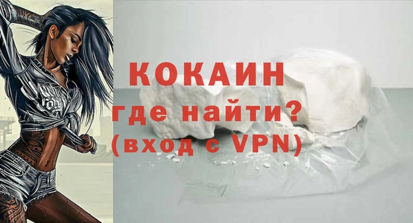 амф Бородино